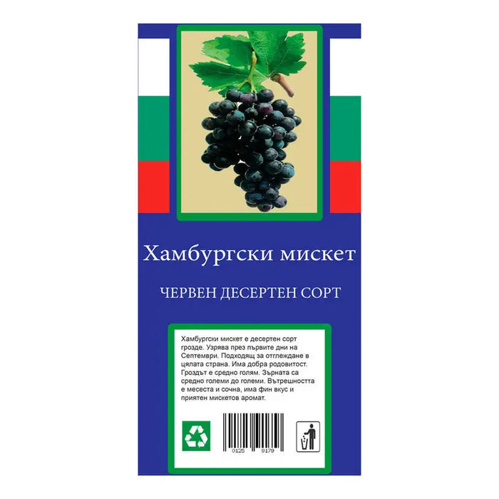 ROOT VINE DESSERT VARIETY - Корени<<<Външни растения<<<Градина<<<Praktiker