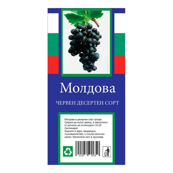 ROOT VINE DESSERT VARIETY - Корени<<<Външни растения<<<Градина<<<Praktiker