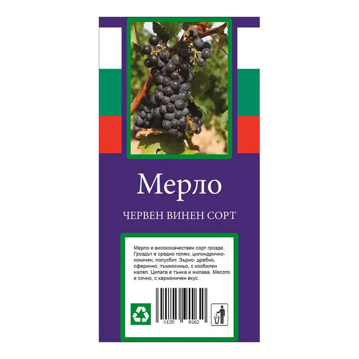ROOT VINE WINE VARIETY - Корени<<<Външни растения<<<Градина<<<Praktiker
