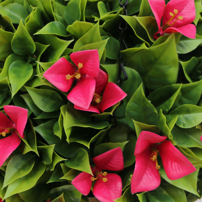 DECORATIVE LANDSCAPING HANGING BASKET ROSSIMA BOUGAINVILLE