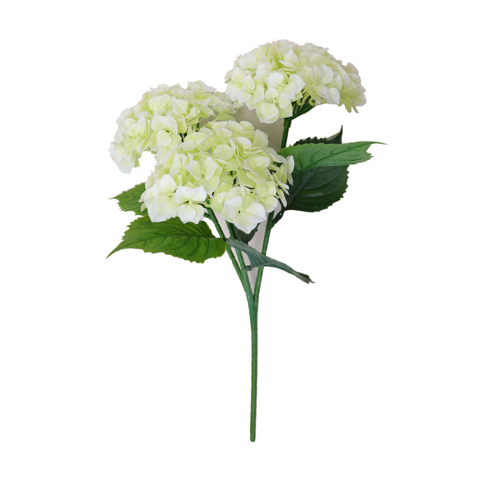 DECORATIVE PLANT IN A POT ROSSIMA HYDRANGEA