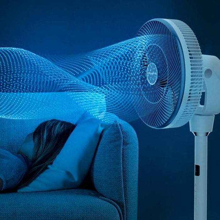 Rowenta QV5040F0 fan