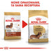 ROYAL CANIN Dachshund Adult - dry dog food - 7,5 kg - Dry foodDLP-KAS<<<For the dogDLP<<<ActionPL