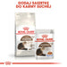 Royal Canin Senior Ageing 12+ dry cat food 2 kg - Dry foodDLK-KAS<<<For the catDLK<<<ActionPL