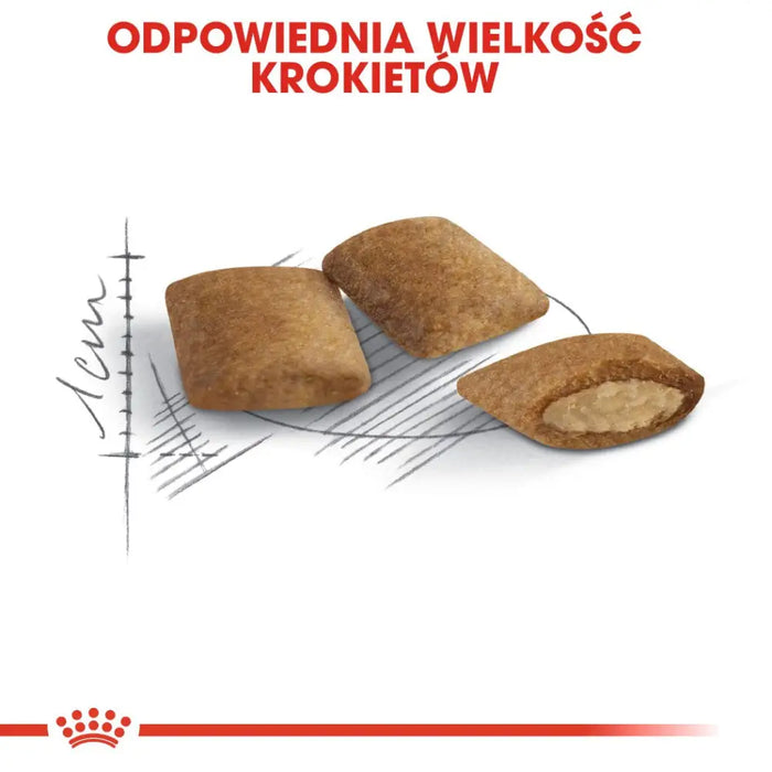 Royal Canin Senior Ageing 12+ dry cat food 2 kg - Dry foodDLK-KAS<<<For the catDLK<<<ActionPL