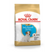 Royal Canin SHN Breed Jack Russell Junior - Dry dog food Poultry,Rice - 3 kg - Dry foodDLP-KAS<<<For