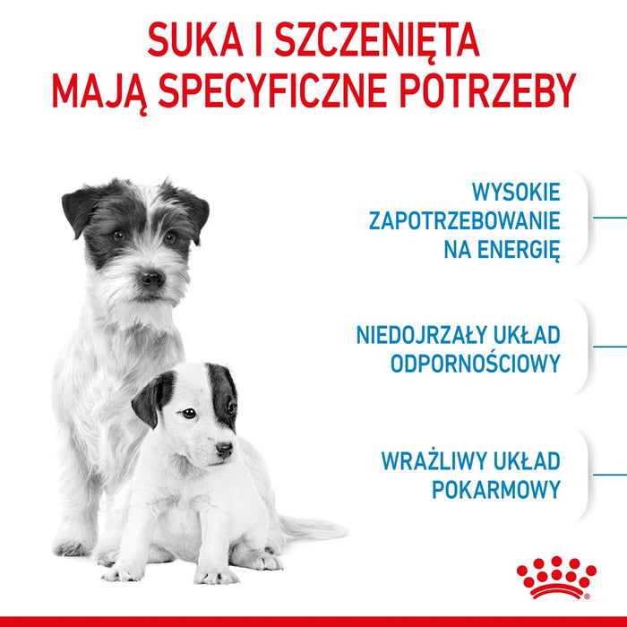 Royal Canin Mini Starter Mother & Babydog Adult Poultry 1 kg