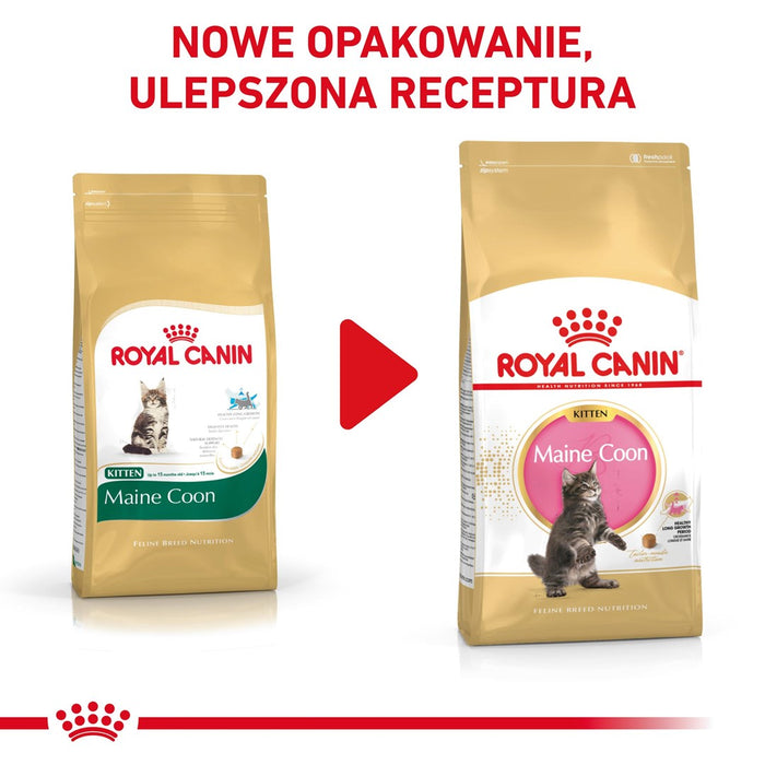 ROYAL CANIN Maine coon FBN Kitten - dry cat food - 400g