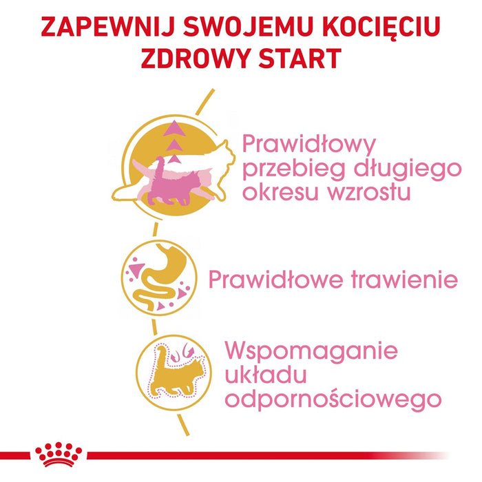 ROYAL CANIN Maine Coon Kitten- dry cat food - 4 kg