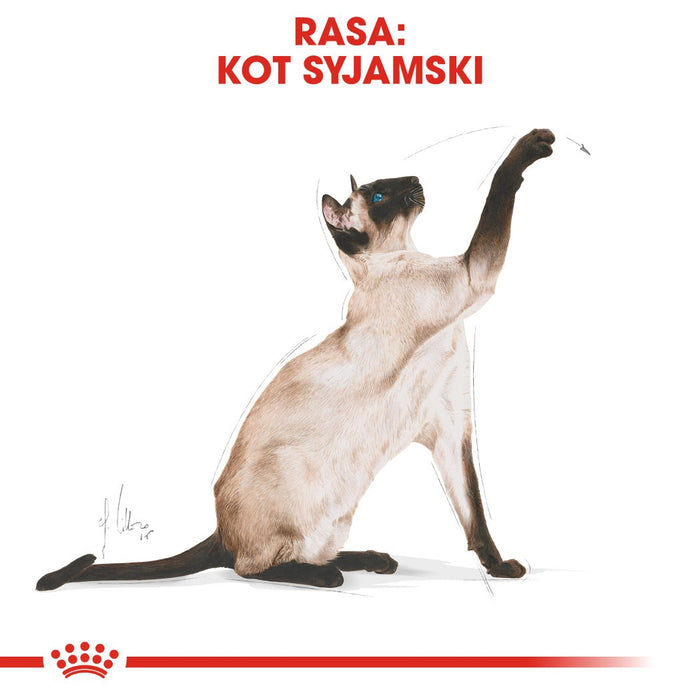 ROYAL CANIN Siamese Adult - dry cat food - 2 kg