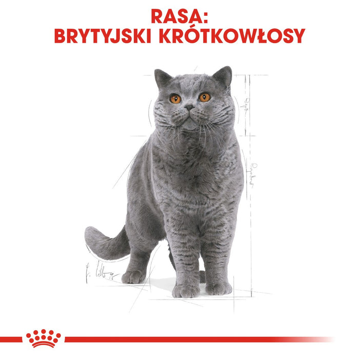 ROYAL CANIN FBN British Shorthair Adult dry cat food - 10 kg