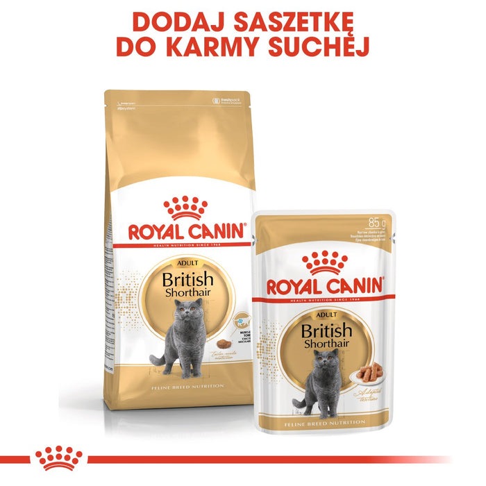 ROYAL CANIN FBN British Shorthair Adult dry cat food - 10 kg
