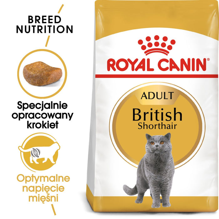 ROYAL CANIN FBN British Shorthair Adult dry cat food - 10 kg