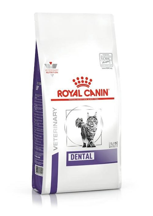 ROYAL CANIN Dental - dry cat food - 1,5kg