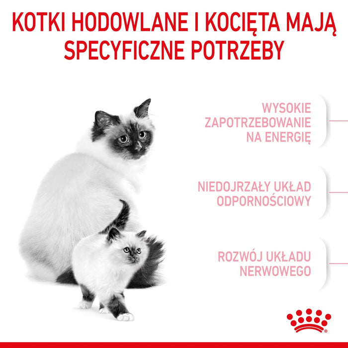 Royal Canin Mother & Babycat cats dry food 4 kg Adult Poultry