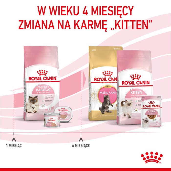 Royal Canin Mother & Babycat cats dry food 4 kg Adult Poultry