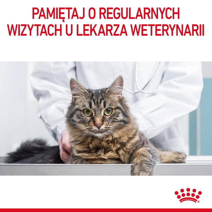 Royal Canin Hairball Care dry cat food 2 kg