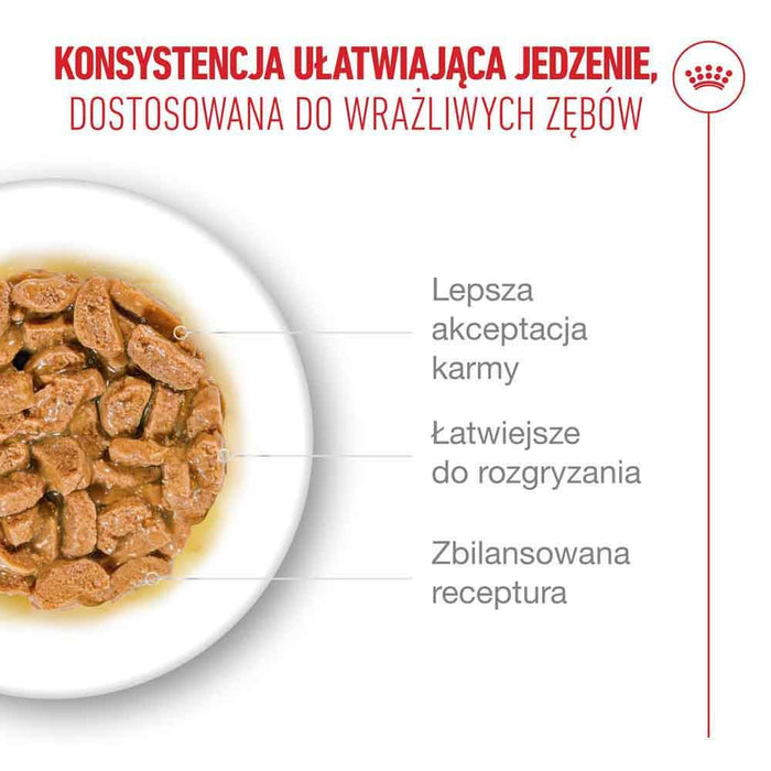 ROYAL CANIN Ageing 11+ Chunks in gravy - wet cat food - 12x85g