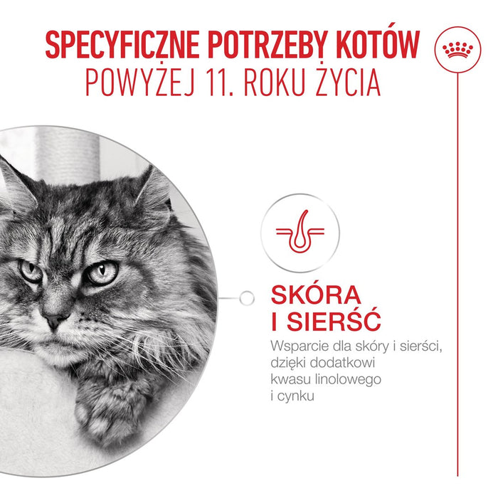 ROYAL CANIN Ageing 11+ - dry cat food - 4kg