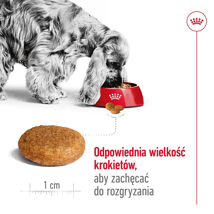 ROYAL CANIN SHN Medium Adult - dry dog food - 15kg