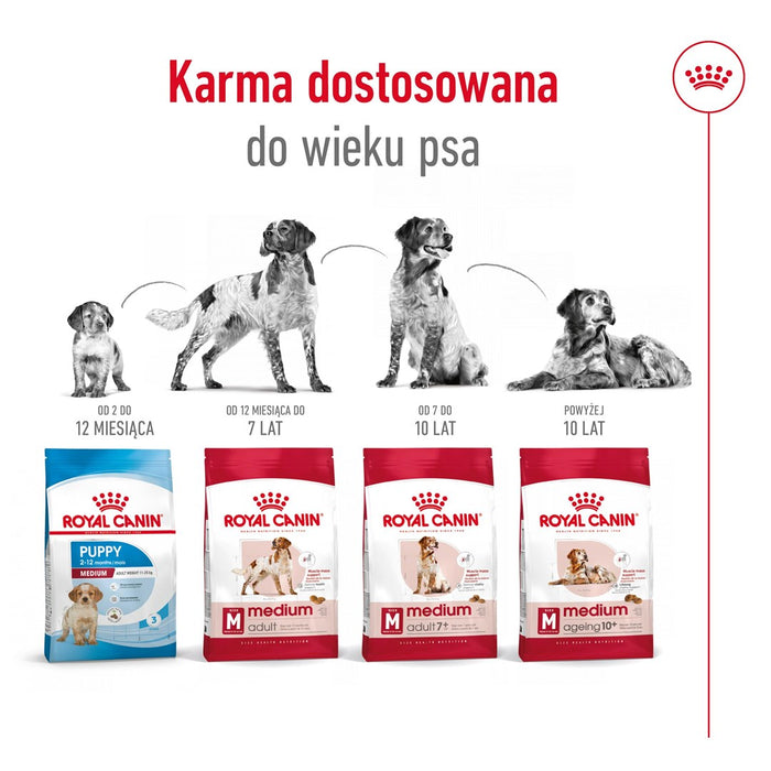 ROYAL CANIN SHN Medium Adult - dry dog food - 15kg