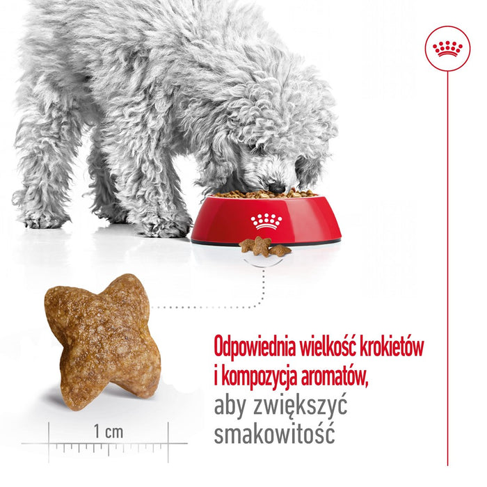 ROYAL CANIN Adult Mini S - dry dog food - 2kg