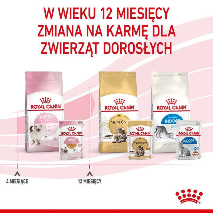 Royal Canin FHN Kitten Instinctive in sauce - wet food for kittens - 12x85g