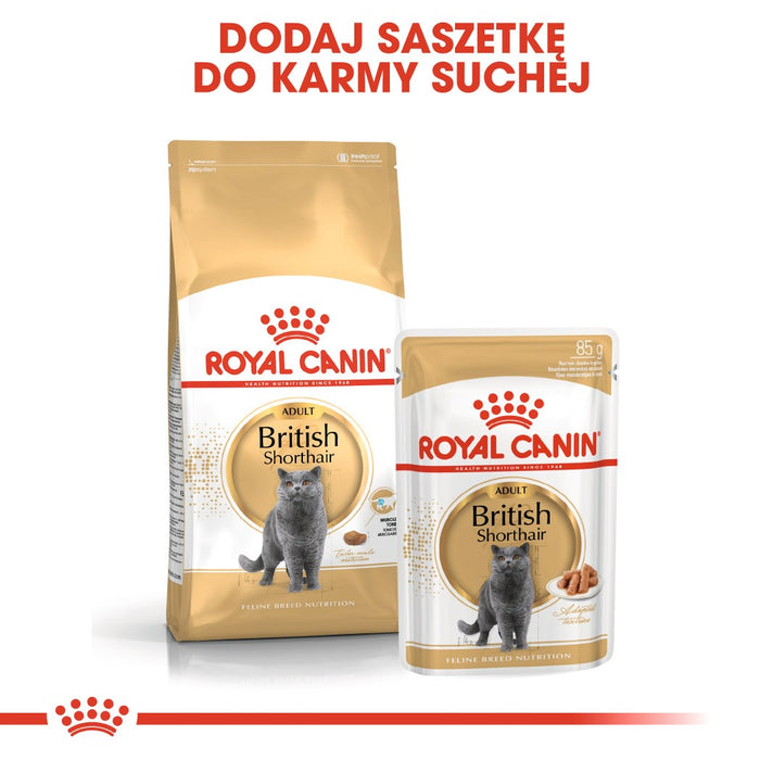 ROYAL CANIN British Shorthair packet 12x85g