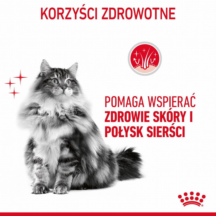 ROYAL CANIN Hair & Skin Care - wet cat food - 12x85g