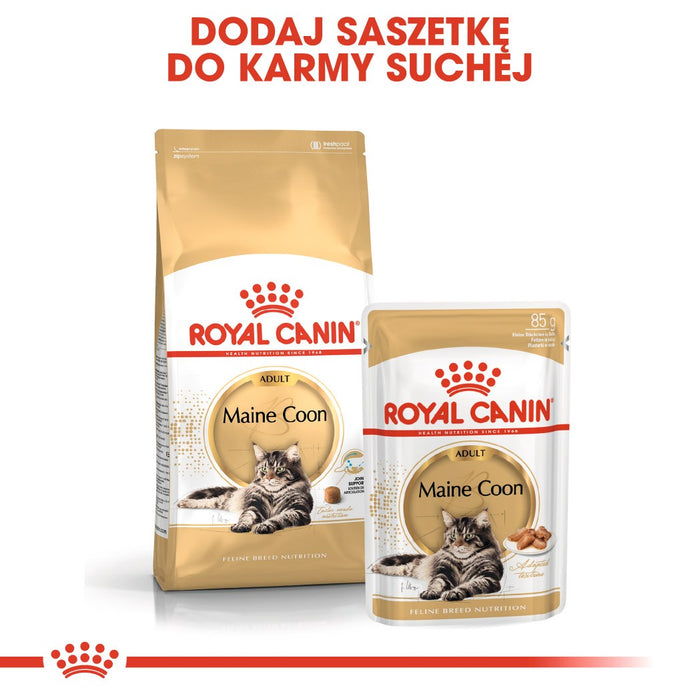 ROYAL CANIN FBN Maine Coon - Cat wet food - sachet 12x 85g