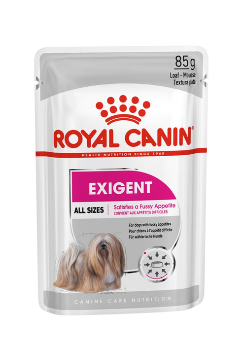 ROYAL CANIN Exigent Wet dog food Pâté 12x85 g