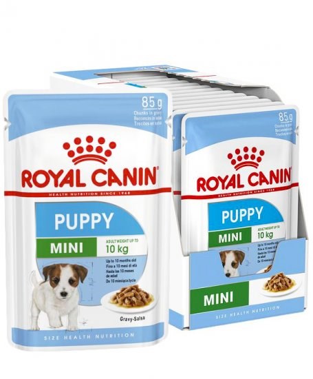 ROYAL CANIN SHN Mini Puppy in sauce - wet puppy food - 12X85g