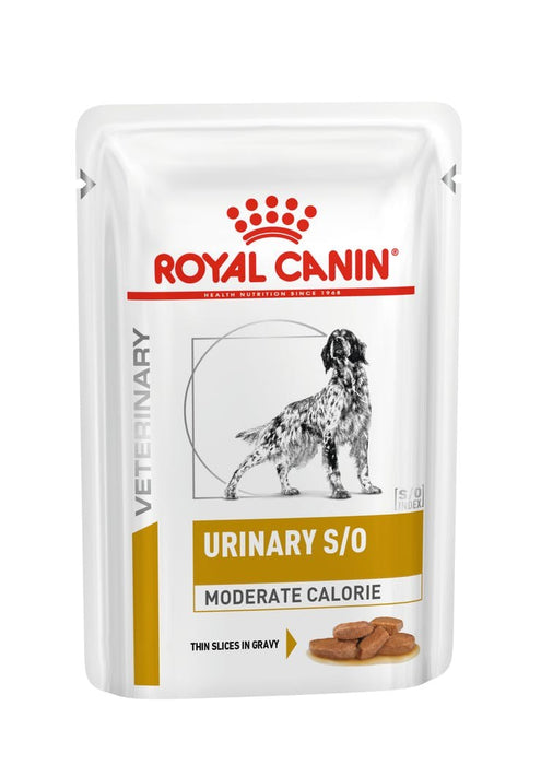 ROYAL CANIN Dog Urinary S/O Moderate Calorie - wet dog food - 12 x 100g