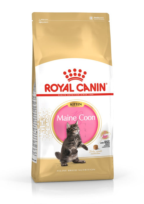ROYAL CANIN Maine Coon Kitten - dry cat food - 2 kg