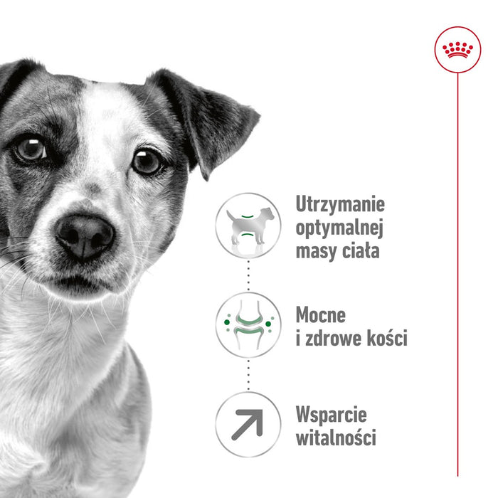 ROYAL CANIN S Mini Adult 8+ - dry dog food - 800 g