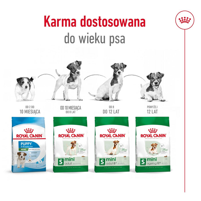 ROYAL CANIN S Mini Adult 8+ - dry dog food - 800 g