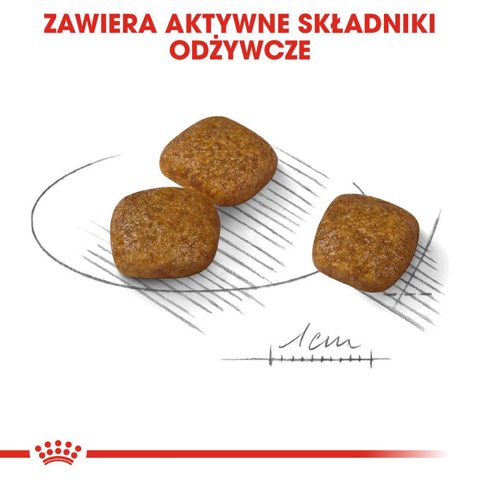 ROYAL CANIN Mini Urinary Care - dry dog food - 3 kg
