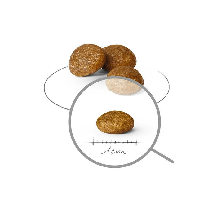 Fodder Royal Canin Birds 1,5 Kg