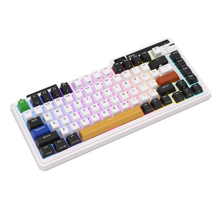 Royal Kludge KZZI K75 pro RGB wireless mechanical keyboard Moment Switch (black and white) (QWERTY)