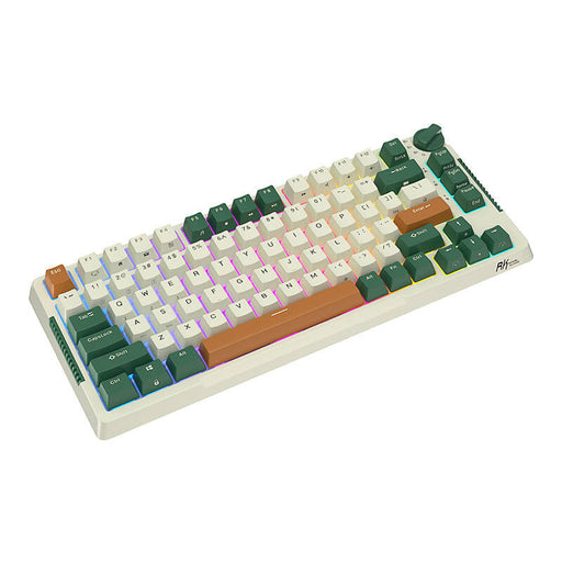 Royal Kludge RKH81 RGB Wireless Mechanical Keyboard Sky cyan switch (green) (QWERTY)