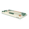 Royal Kludge RKH81 RGB Wireless Mechanical Keyboard Sky cyan switch (green) (QWERTY)