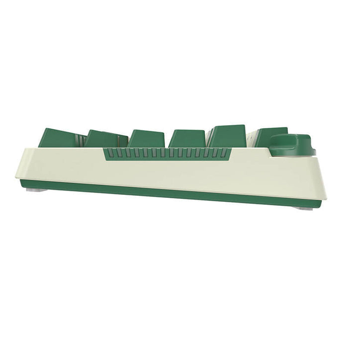 Royal Kludge RKH81 RGB Wireless Mechanical Keyboard Sky cyan switch (green) (QWERTY)