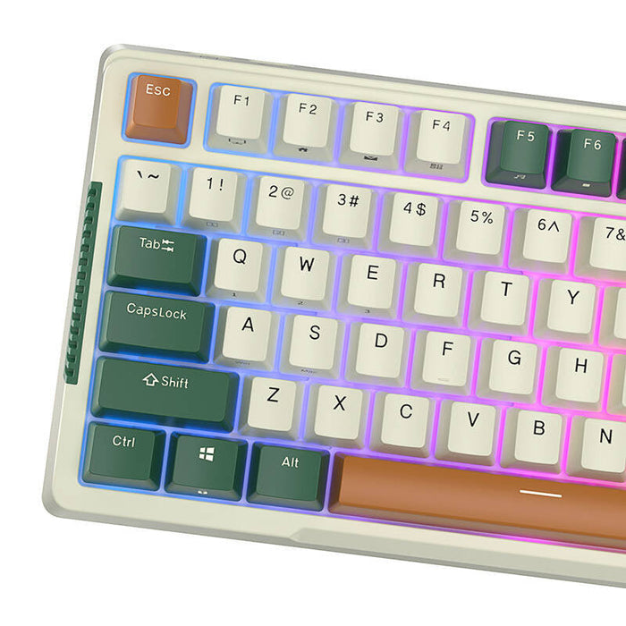 Royal Kludge RKH81 RGB Wireless Mechanical Keyboard Sky cyan switch (green) (QWERTY)