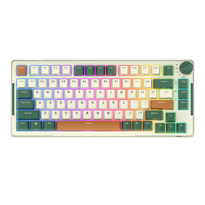Royal Kludge RKH81 RGB Wireless Mechanical Keyboard, Sky cyan switch (green) (QWERTY)