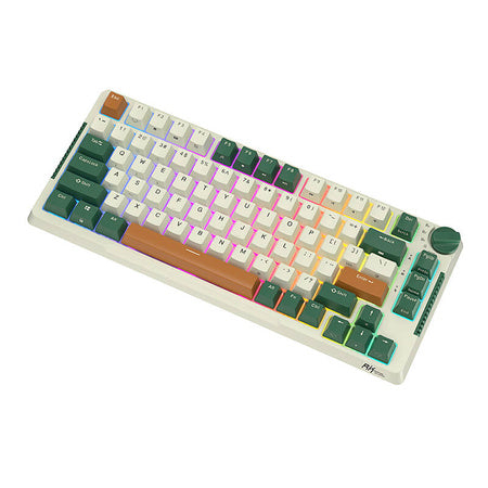 Royal Kludge RKH81 RGB Wireless Mechanical Keyboard, Sky cyan switch (green) (QWERTY)