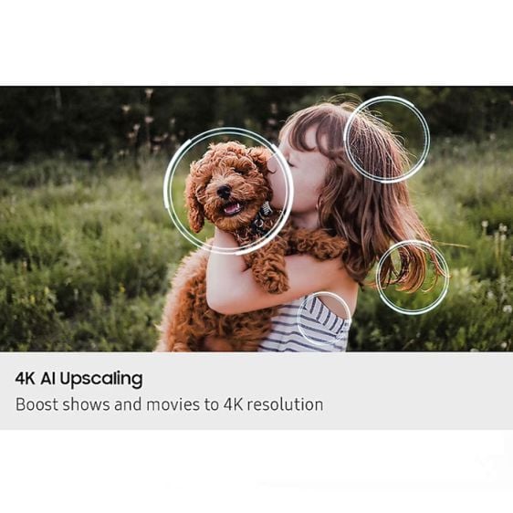 TV SAMSUNG QE65QN80FAUXXH, 65"(163 cm), Neo QLED QN80F, 4K UHD Vision AI, Smart TV (2025)