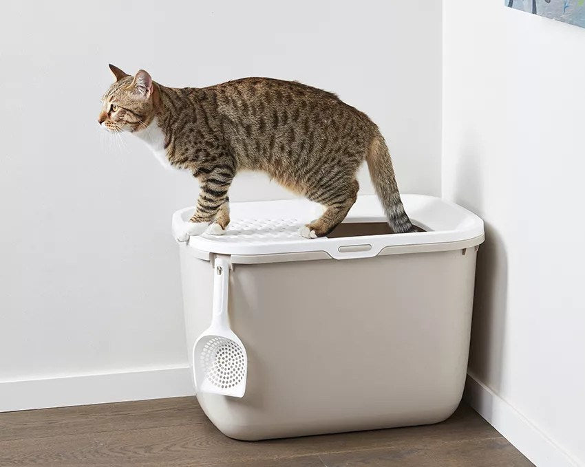 SAVIC HOP Coffee Brown with White Lid – Cat Litter Tray – 58.5x39x39.5 cm – 1 pc.
