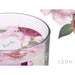 Scented Candle Acorde Carain 400 g (6 Units) - Почистване Прахосмукачки И Гладене<<<Дом Градина<<<BigBuy&&&Ароматни