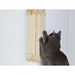 Scratching Post for Cats Trixie 43191 - Домашни Животни<<<Дом Градина<<<BigBuy&&&Къщички и легълца<<<Домашни