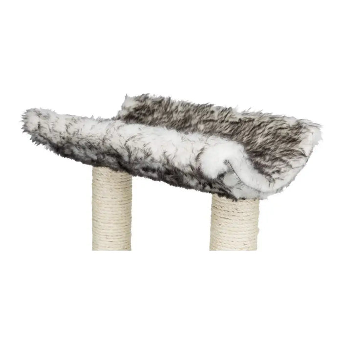 Scratching Post for Cats Trixie 44567 Tree Sisal Black Ø 8 cm 62 cm 36 x 36 cm - Здраве и хигиена<<<Домашни